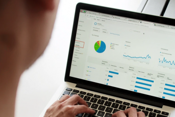 Person viewing pie charts and other information on their laptop